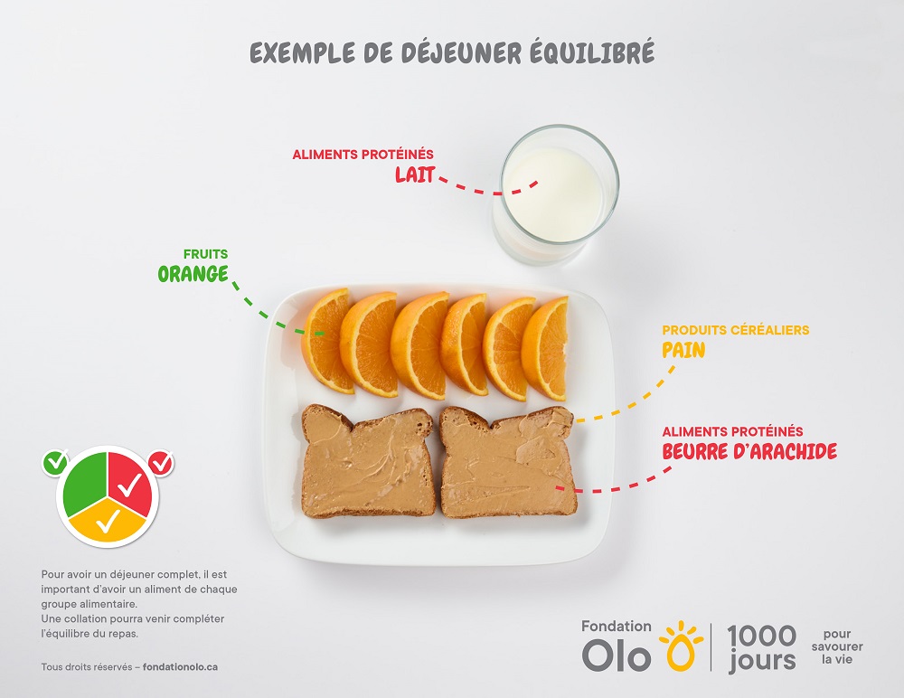 Fondation Olo | Exemple de repas équilibrés | Déjeuner équilibré