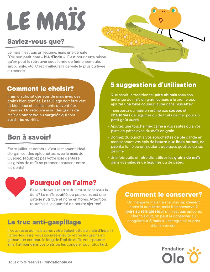 Fondation Olo | Infographie | Le maïs