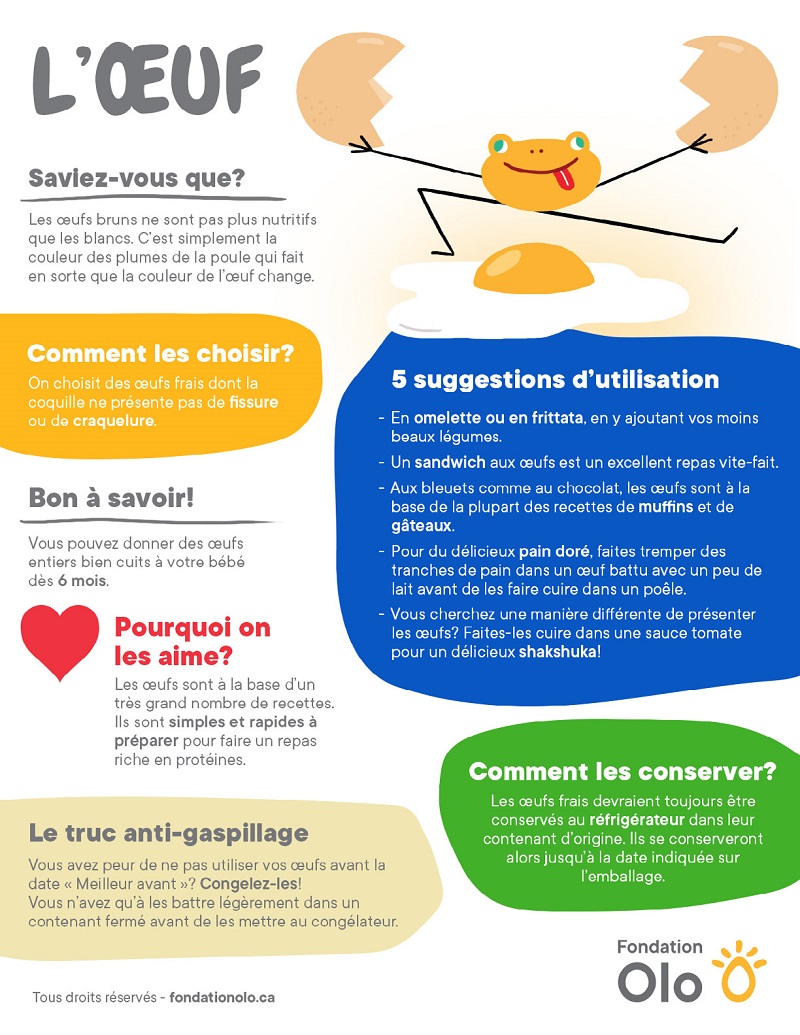 Fondation Olo | Infographie | L'oeuf