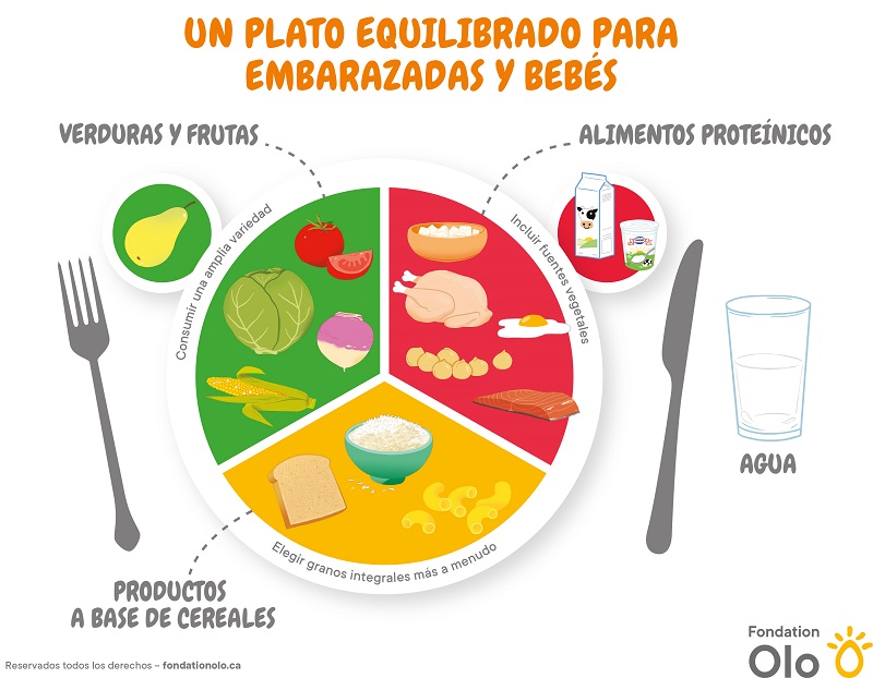 Fondation Olo | Outil | Assiette équilibrée | Espagnol