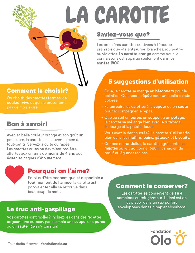 Fondation Olo Infographie Carotte 2019