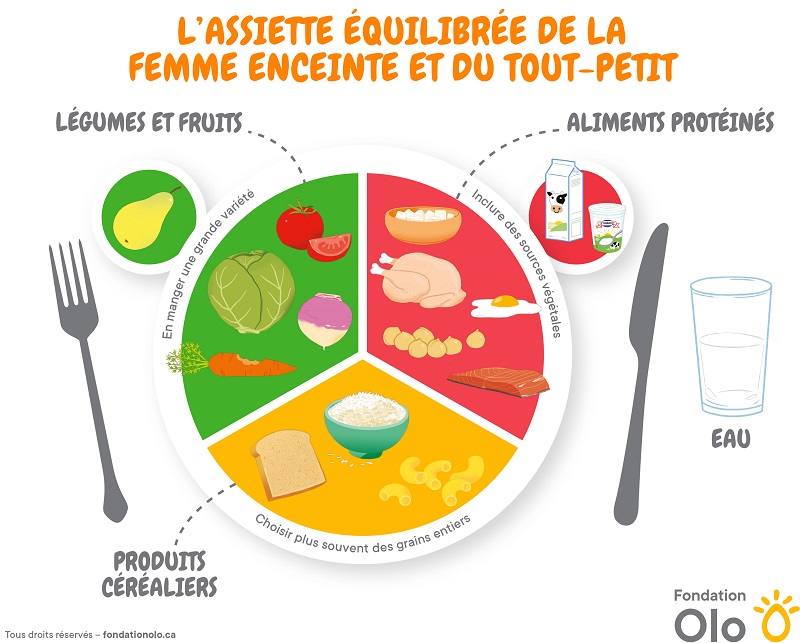 Fondation Olo Assiette Equilibree