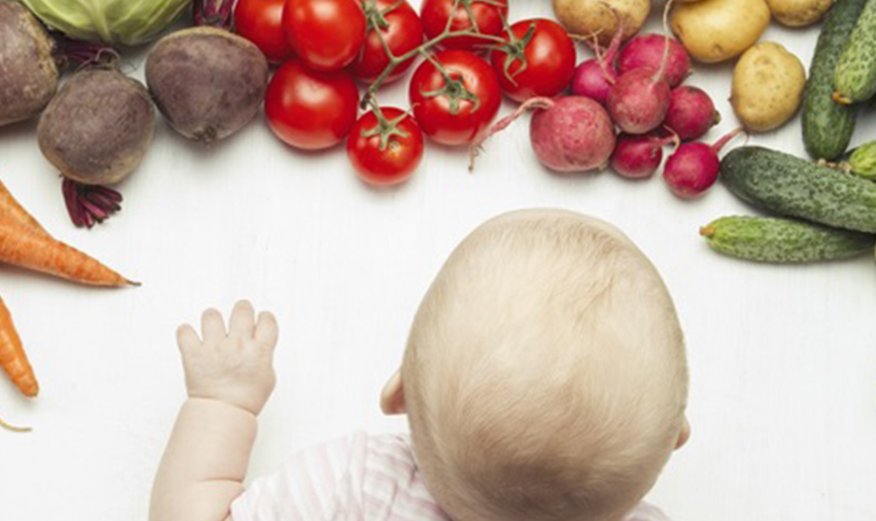 Alimentation