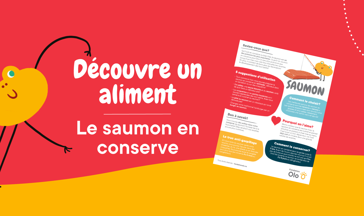 Bandeaux Affiche Saumon