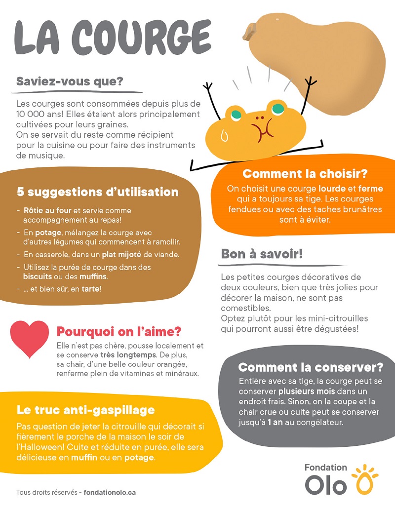 Fondation Olo Infographie Courge 2019