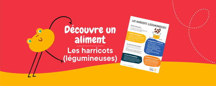 Bandeaux Affiche Harricots Legumineuses