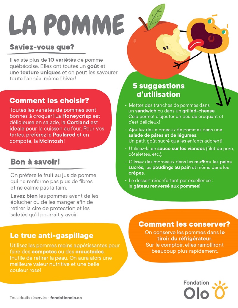 Fondation Olo Infographie Pomme 2019