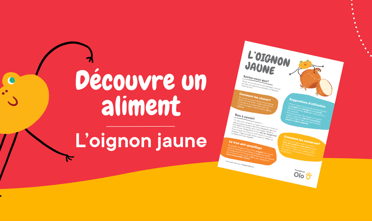Bandeaux Affiches Oignon