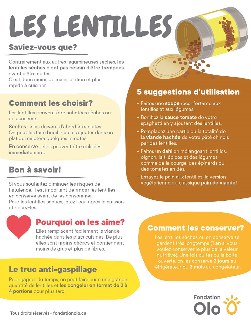 Fondation Olo Infographie Lentilles 2019