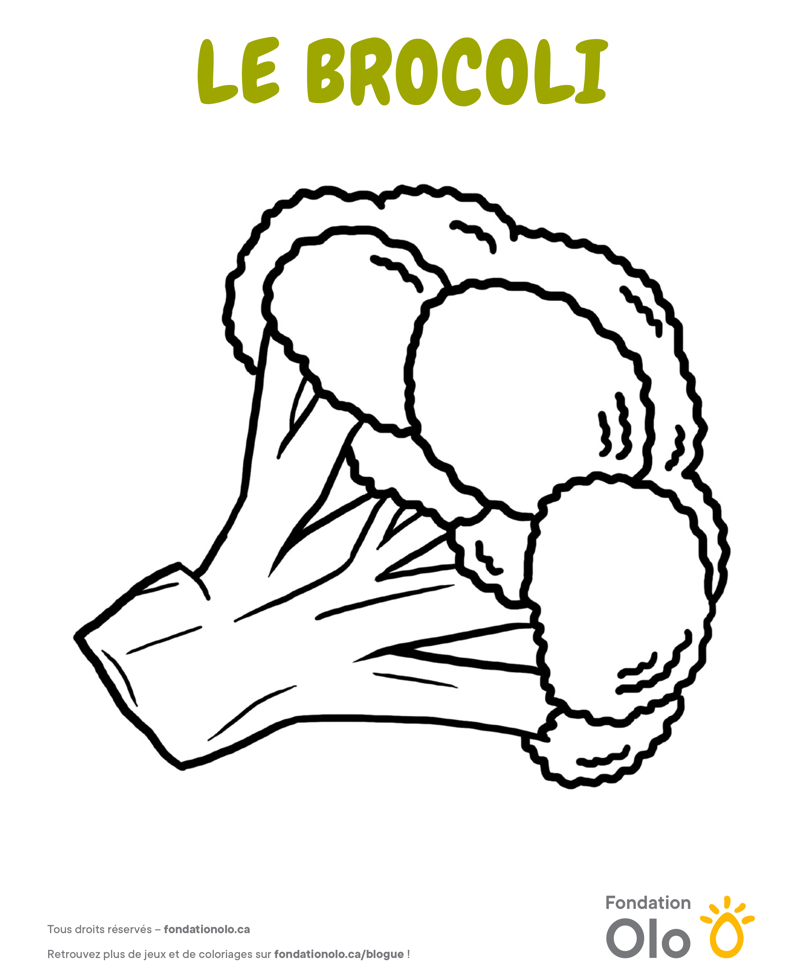 Fondation Olo Coloriage Brocoli 2019