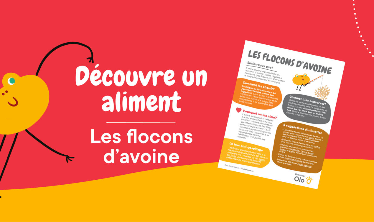 Bandeaux Affiche Flocons Avoines