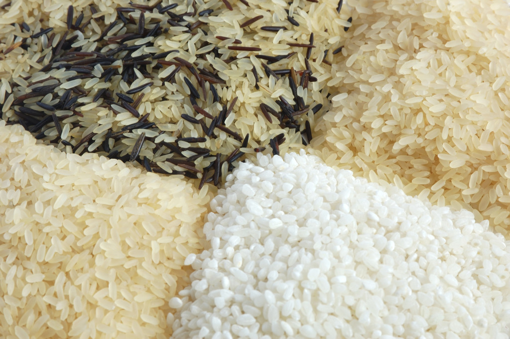Fondation OLO | Découvrir les aliments | Le riz