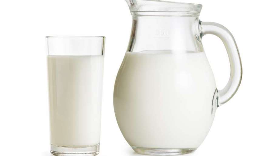 Fondation OLO | Tout savoir sur le lait