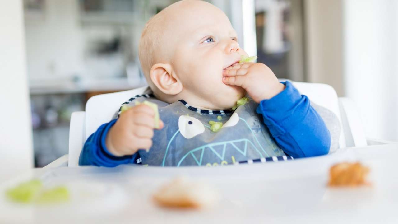 Alimentation Autonome Ou Diversification Menee Par L Enfant Dme