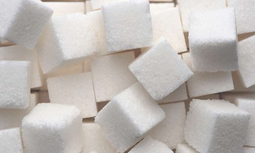 Fondation OLO | Le sucre, c'est quoi?