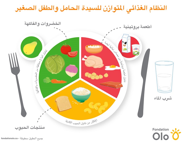 Fondation Olo | Outil | Assiette équilibrée | Arabe